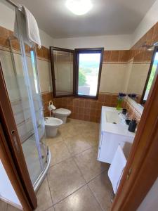 a bathroom with a shower and a toilet and a sink at Bellavista in Castiadas +26 photos
