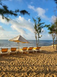 a group of chairs and an umbrella on the beach at Beach Oceanami Villa in Long Hai