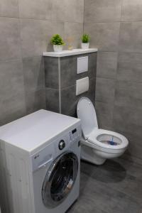 a washing machine in a bathroom with a toilet at Apartmán TOBI in Kašperské Hory