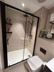 ein Badezimmer mit Dusche und Toilette in der Unterkunft Rock Mill - Luxury 1 Bedroom Apartment 20 in Stony Middleton + 26 Fotos