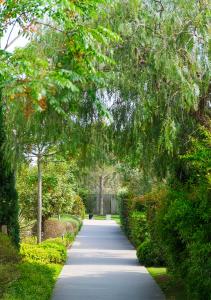 a long road with trees and a tree tunnel at Costa Nera Beach House in Porto-Vecchio