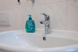 a bottle of soap sitting on top of a bathroom sink at Macabu Apartment Linda in Chemnitz
