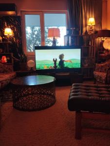 TV a/nebo společenská místnost v ubytování Garden Village Home