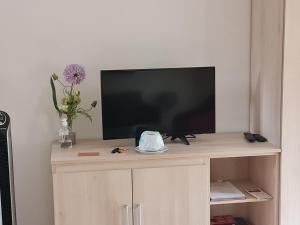 a television sitting on a wooden cabinet with a tv at Love nest munster in Munster