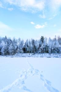 Silver Birch Resort Lapland v zimě