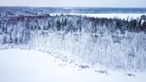 Silver Birch Resort Lapland v zimě
