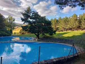 a fence around a swimming pool with a tree at El Pinsapo in Segovia