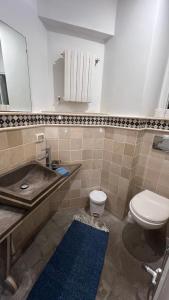 Ένα μπάνιο στο Jasmine House Sidi Bou Saïd +7 φωτογραφίες