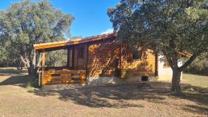 a wooden cabin in a field with a tree at chalet climatisé Porticcio Corse in Fontanaccio +5 photos