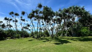 Φυσικό τοπίο κοντά σε αυτό το καταφύγιο