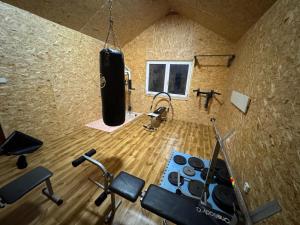 Fitness centrum a/nebo fitness zařízení v ubytování Apartmán Harmonie Černá Voda