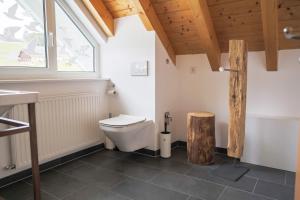 a bathroom with a toilet and a window at Kuckucksnest Schwärzenbach in Titisee-Neustadt