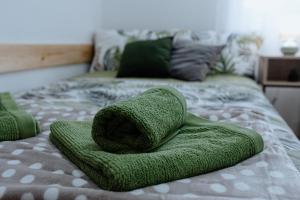 Katil atau katil-katil dalam bilik di Apartman Matija, Mokra Gora