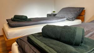 Afbeelding uit fotogalerij van Almtal Apartments in Viechtwang