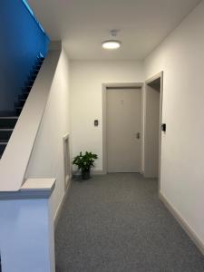Fotografie z fotogalerie ubytování IEC Campus v destinaci Cork