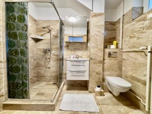 a bathroom with a shower and a toilet and a sink at Villa Holiday Tatry in Nová Lesná +74 photos