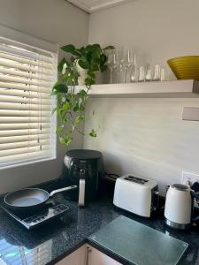 a kitchen with a counter top with a toaster and a toaster at Stellenbosch Serenity in Stellenbosch