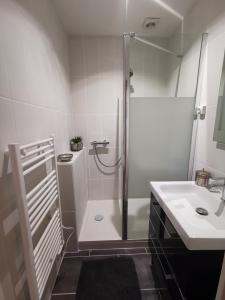 ein weißes Badezimmer mit Dusche und Waschbecken in der Unterkunft La maison du bonheur in Le Cateau + 6 Fotos