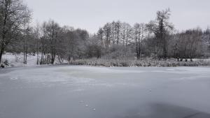 Ferienhaus Fuchswinkel im Winter