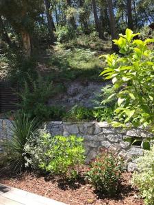 Zdjęcie z galerii obiektu Villa des MARMOTTES pour 6 personnes w mieście Soorts-Hossegor