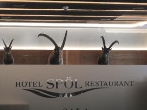 Vottorð, verðlaun, skilti eða annað skjal til sýnis á Hotel Spöl Restaurant