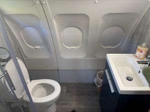 bagno con servizi igienici e lavandino in un aereo di Sky High Glamping a Shillelagh