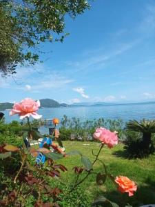 Phong cảnh thiên nhiên gần căn hộ