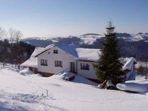 a house covered in snow with a christmas tree in front at Apartment U Sedláčků in Benecko