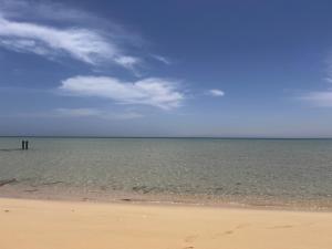 une vue sur l'océan depuis la plage dans l'établissement Green sudr, à Ras Sudr
