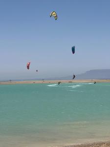 Un groupe de gens volant des cerfs-volants au-dessus de l'océan dans l'établissement Green sudr, à Ras Sudr 3 autres photos