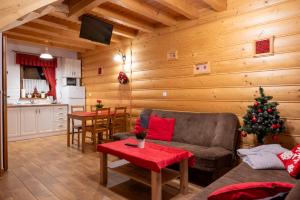 a living room with a christmas tree in a cabin at DW KINGA i DOMKI in Kacwin