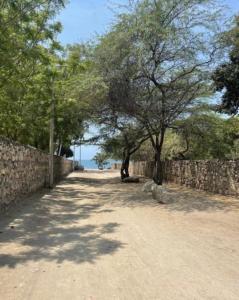 a dirt road with trees and a stone wall at Aparta suite en Santa Marta in Santa Marta