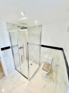 a bathroom with a shower and a toilet at Modern 2 bedroom apartment in cambridge in Milton