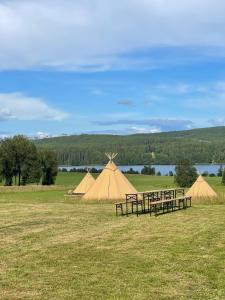 Příroda nedaleko luxury tent