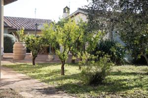 Zahrada ubytování Podere San Biagio