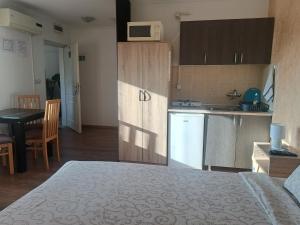 Guesthouse Kristina的厨房或小厨房