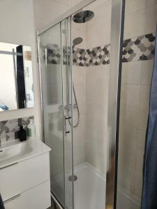 a bathroom with a shower and a sink at 3- Vue sur le port, la ville close, confort, WIFI in Concarneau +9 photos
