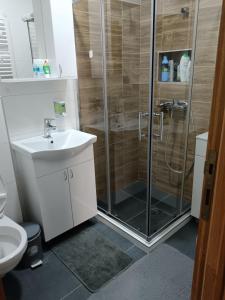 a bathroom with a shower and a sink at Apartman IKS-M & Spa in Zlatibor