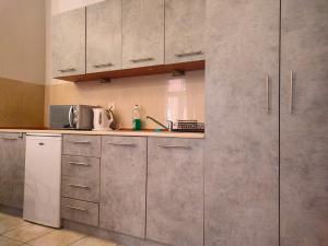 kuchnia z szafkami ze stali nierdzewnej i zlewem w obiekcie Apartament Izaaka w Krakowie