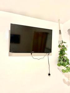 TV a/nebo společenská místnost v ubytování Siargao Zita's Garden Inn