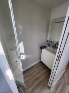 een badkamer met douche en wastafel bij Studio downtown, proche ville close, Wifi in Concarneau