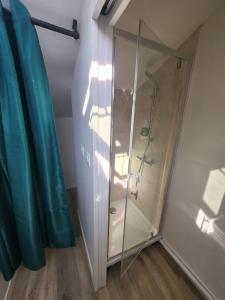 een douche met een glazen deur in een badkamer bij Studio downtown, proche ville close, Wifi in Concarneau