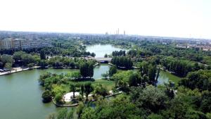 an aerial view of a lake with trees and a bridge at ALDIRA Studio Arena Nationala in Bucharest