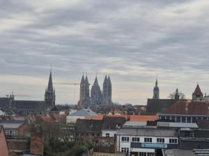 Una vista general de Tournai o una vista desde la ciudad tomada desde el departamento