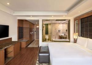 TV at/o entertainment center sa Radisson Blu Plaza Delhi Airport