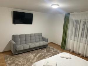 a living room with a couch and a flat screen tv at Casa Ceteras in Cavnic