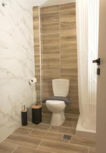 a bathroom with a toilet in a room at Santa Marina 5 in Ioannina