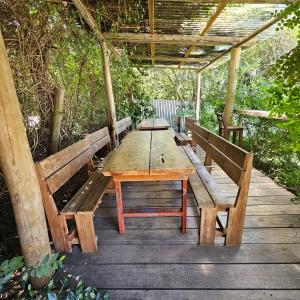 Κήπος έξω από το Hostel Punta Ballena Bar