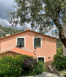 une maison rose avec des fenêtres vertes et un arbre dans l'établissement Casa Margherita parking, à Zoagli