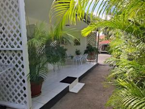 Zahrada ubytování Tropical Palm Retreat